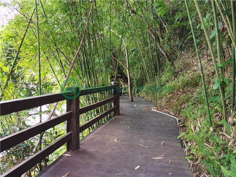 綠山木棧道