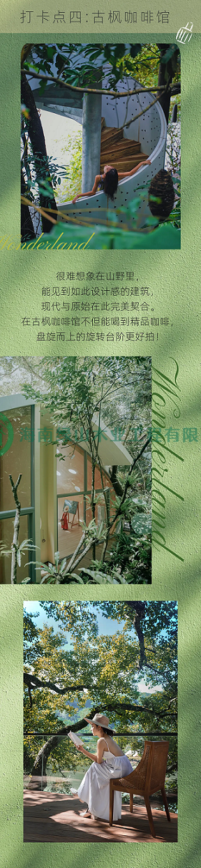 精品民宿