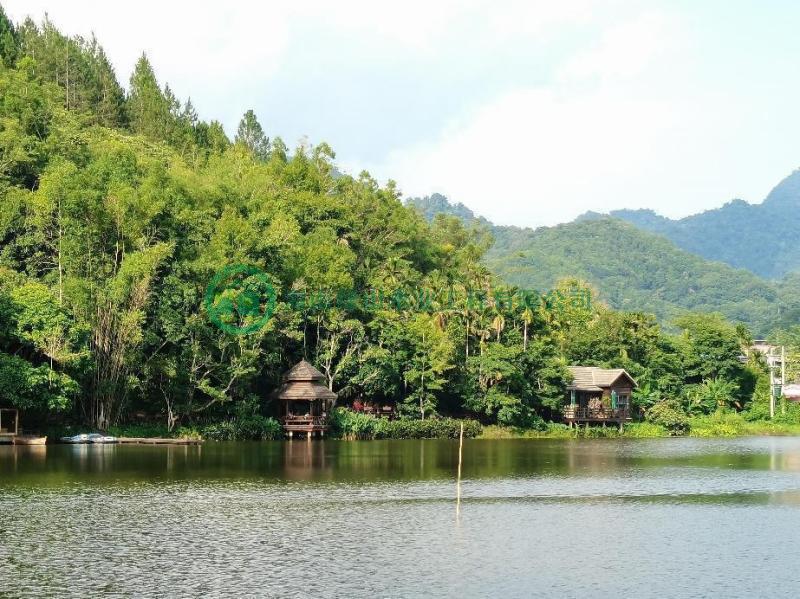 綠山木屋案例展示